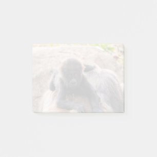 Willie B III im Zoo Atlanta (2023) Post-it Klebezettel