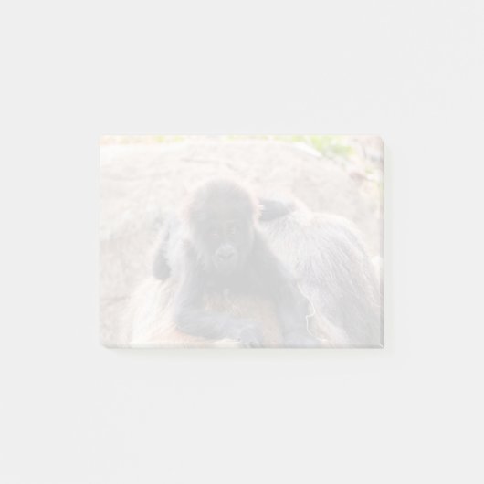 Willie B III im Zoo Atlanta (2023) Post-it Klebezettel (Vorderseite)