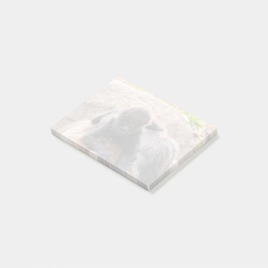 Willie B III im Zoo Atlanta (2023) Post-it Klebezettel (angewinkelt)