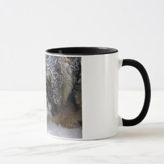Willie-Mädchen Tasse