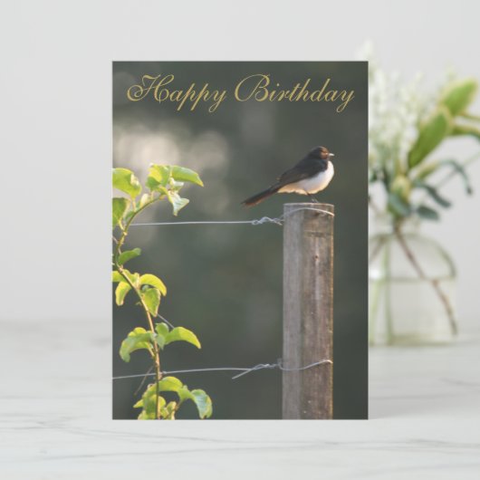 Willie Wagtail Happy Birthday (Stehend Vorderseite)