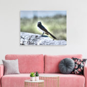 WILLIEN WAGTAIL AUF ZENTREN LÄNDLICHE QUEENSLAND A LEINWANDDRUCK (Insitu (Wohnzimmer))