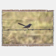 WILLIEWAGTAIL AUF ZAUN-QUEENSLAND-KUNST-EFFEKTEN