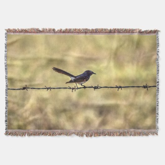 WILLIEWAGTAIL AUF ZAUN-QUEENSLAND-KUNST-EFFEKTEN DECKE (Vorderseite)
