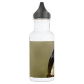 WillieWagtail Edelstahlflasche (Links)