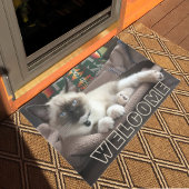 Willkommen Adorable Blue Mit Augen Siamese Kitten Fußmatte