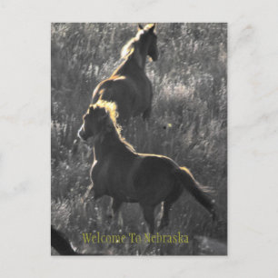 Willkommen auf der Postkarte von Nebraska