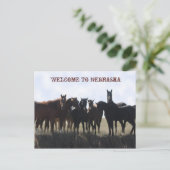 Willkommen auf der Postkarte von Nebraska (Stehend Vorderseite)