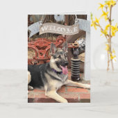 Willkommen bei der Pension Lucky Dog Karte (Gelbe Blume)