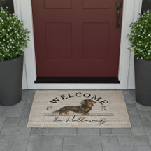 Willkommen bei Longhair Dackel Custom Familienname