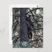 Willkommen bei Sisters Postkarte (Vorne/Hinten)