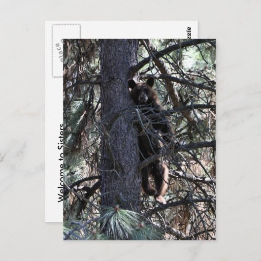 Willkommen bei Sisters Postkarte (Vorne/Hinten)