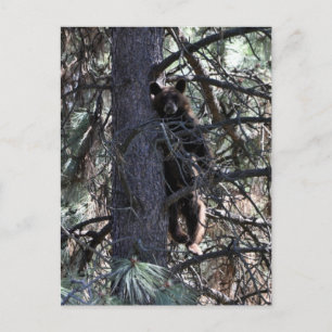 Willkommen bei Sisters Postkarte