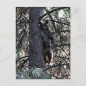 Willkommen bei Sisters Postkarte (Vorderseite)