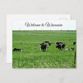 Willkommen bei Wisconsin Kühen in Field Postcard Postkarte (Vorne/Hinten)