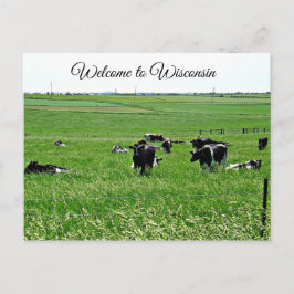 Willkommen bei Wisconsin Kühen in Field Postcard Postkarte