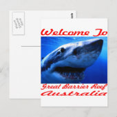 Willkommen beim Riffhai Postkarte (Vorne/Hinten)