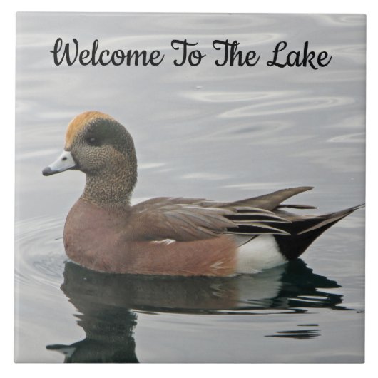 Willkommen Duck Foto Wigeon Calm Water Lake House Fliese (Vorderseite)