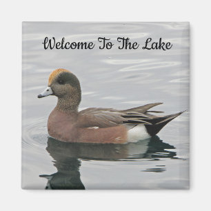 Willkommen Duck Foto Wigeon Calm Water Lake House Magnet