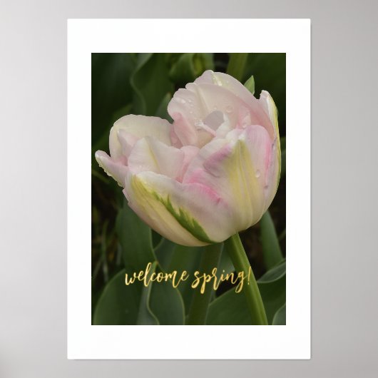 Willkommen Frühling! Pink Tulip Foil Text Print Po Foliendrucke (Vorderseite)