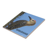 Willkommen Gila Woodpecker Foto Südwest Bird Fliese (Seite)