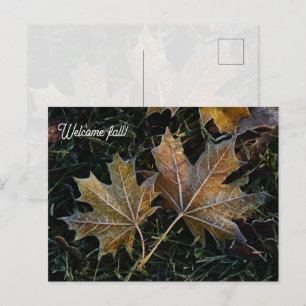 Willkommen Herbstlaub Postkarte
