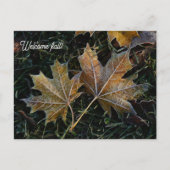 Willkommen Herbstlaub Postkarte (Vorderseite)