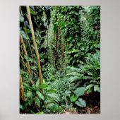 Willkommen im Dschungel Poster (Vorne)