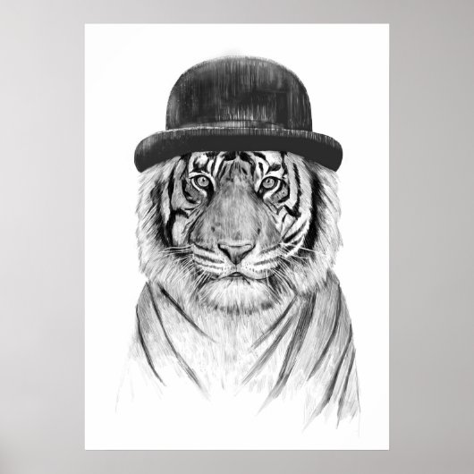 Willkommen im Dschungel Poster (Vorne)