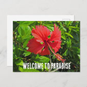 Willkommen im Paradise Tropical Blume Beach House Postkarte (Vorne/Hinten)