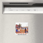 Willkommen im Staat Lagos, Nigeria Magnet (In Situ (Geschirrspüler))