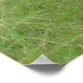 Willkommen im Wisconsin Dairy Cows Foto Poster (Ecke)