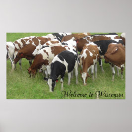 Willkommen im Wisconsin Dairy Cows Foto Poster