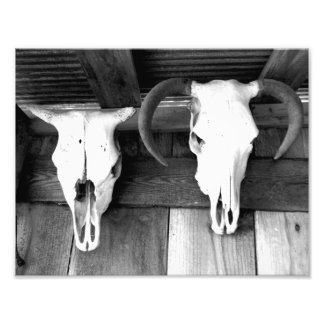 Willkommen in Arkansas Fotodruck