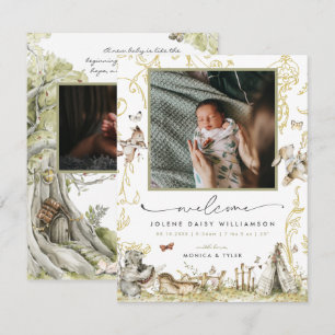 Willkommen in der Welt Waldgebiet Birth