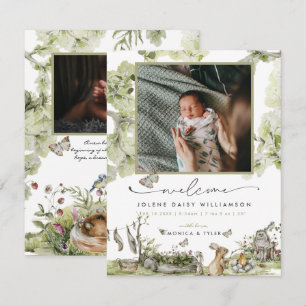 Willkommen in der Welt Waldgebiet Birth