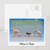Willkommen in Florida Sommerurlaub Postkarte (Vorne/Hinten)