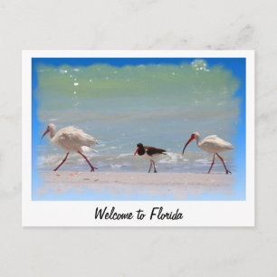 Willkommen in Florida Sommerurlaub Postkarte