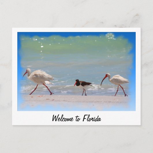 Willkommen in Florida Sommerurlaub Postkarte (Vorderseite)