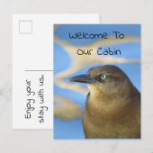 Willkommen in unserem Cabin Blackbird Foto Wildlif Postkarte (Vorne/Hinten)