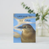 Willkommen in unserem Cabin Blackbird Foto Wildlif Postkarte (Stehend Vorderseite)
