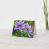 Willkommen! Karte (Vorderseite)