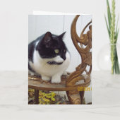 WILLKOMMEN WIEDER ZUHAUSE CARD KARTE (Rückseite)