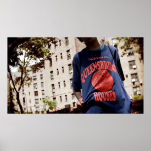 Willkommen zu Queensbridge Häusern Poster