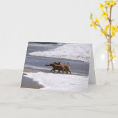 Willkommen zum Team! Karte (Gelbe Blume)