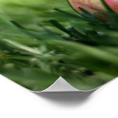 Willkommen zurück zum Students Poster (Ecke)