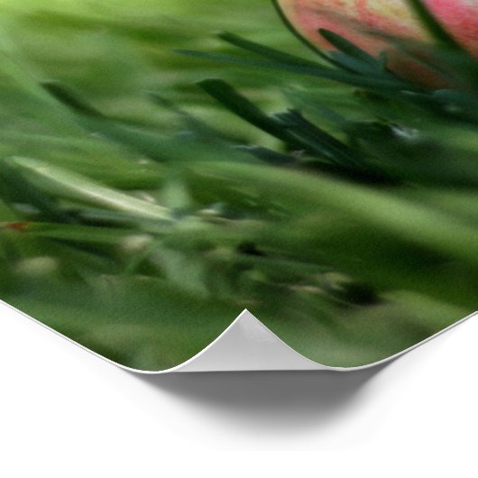 Willkommen zurück zum Students Poster (Ecke)