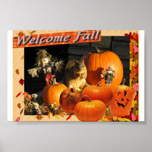 Willkommener Fall Poster