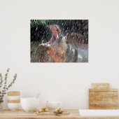 Willkommensdusche Hippopotamus Portrait Poster (Küche)
