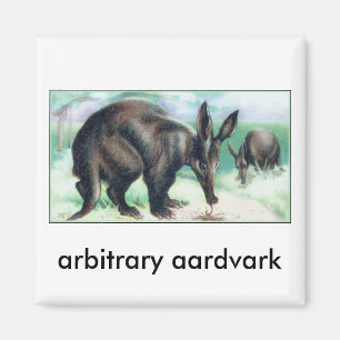 willkürlicher Aardvark Magnet